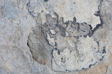 Kayanın soyut formu ve dokusu 