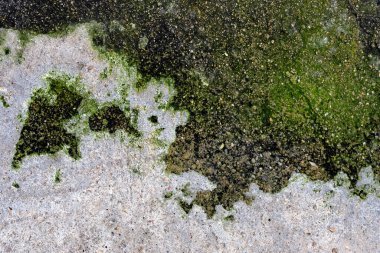 Yerdeki soyut biçim ve doku