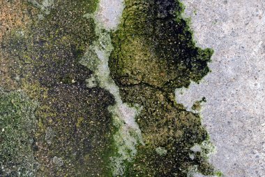 Yerdeki soyut biçim ve doku