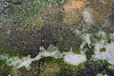 Yerdeki soyut biçim ve doku