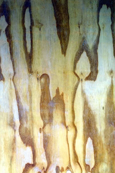Abstraktní Tvar Textura Dřevě — Stock fotografie