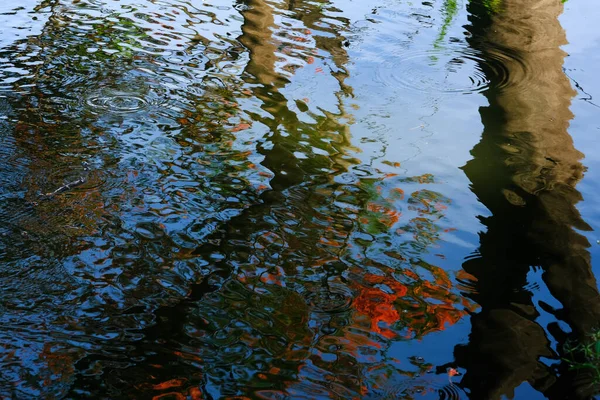 Reflektera Över Vattnet Trädgården — Stockfoto