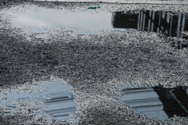 Arka planda asfalt yol, kapat