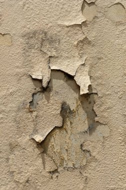 çatlak duvar ve grunge duvar