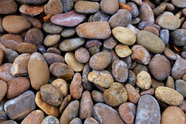 Pebble Stones Sea Beach Pebbles Background — Stok fotoğraf