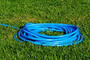 a blue hose laid on the lawn