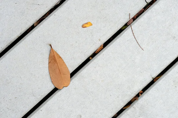 The pattern of line on grunge floor and  leaf