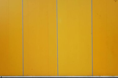 yellow plan and grunge wall