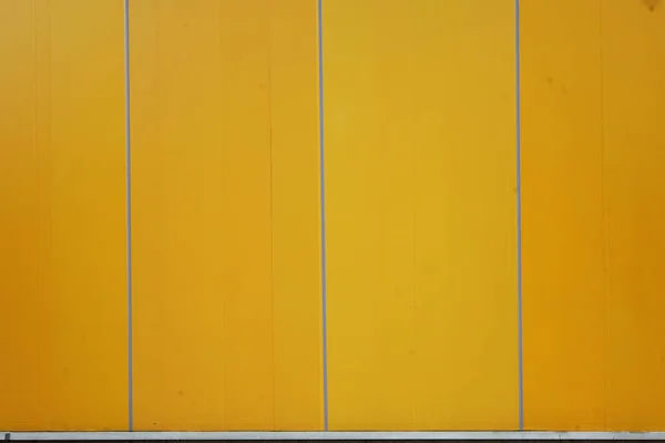 yellow plan and grunge wall