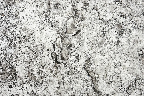 Texture Floor Grunge Floor — Stockfoto