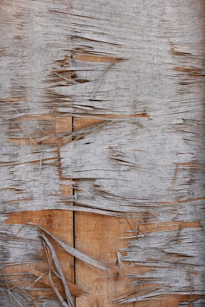 Текстура Древесины Древесные Трещины — стоковое фото