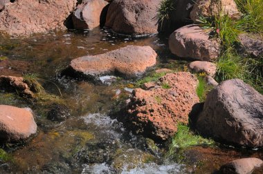 Jemez Nehri, denize ulaşan büyük kayaların etrafından tembelce akar. Canlı yeşil çimenler su kenarına kadar büyür ve kayaların arasındaki boşlukları doldurur..