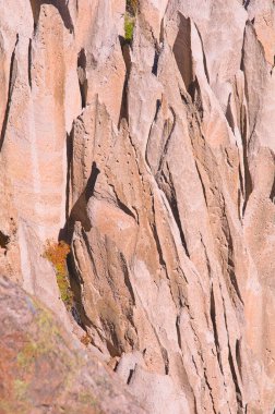 SantaFe Ulusal Ormanı 'ndaki Çadır Kayaları her zaman yeşil ağaçlarla çevrili yamaçlara hakim.