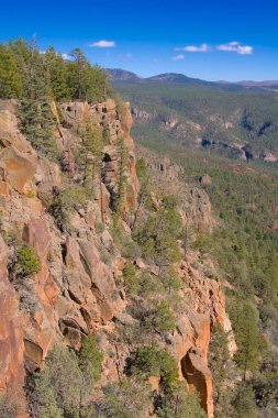 Evergreen Trees, New Mexico 'daki Santa Fe Ulusal Ormanı' nda kayalık yamaçlara tutunuyor. Küçük kabarık bulutlar uzak dağların üzerinde süzülürken derin mavi gökyüzünü noktalarlar..