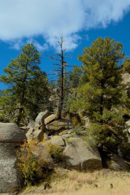 Küçük Sonbahar Aspen ve Evergreen ağaçları kayalık bir uçurumun dibindeki büyük kayaların arasına karışmıştır. Beyaz bulutlar koyu mavi bir gökyüzünde