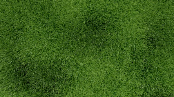 3d green grass background texture.