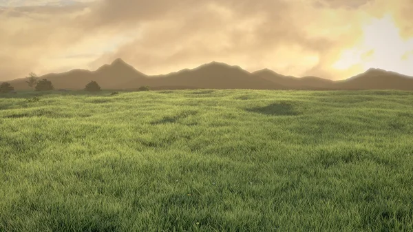 Pré paisible au coucher du soleil avec ciel nuageux et montagnes à l'horizon Image En Vente