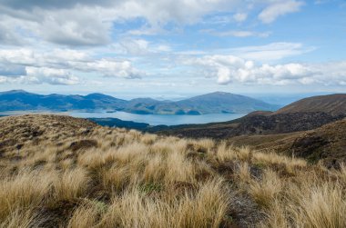 Görünüm yolda tongariro Ulusal Parkı, Yeni Zelanda