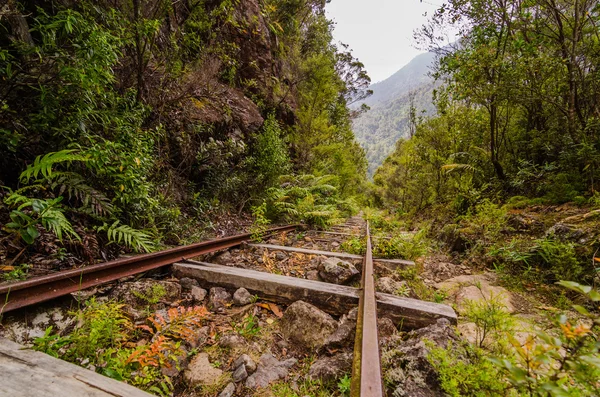 Old railway in a tropical foerst — Stock Photo, Image