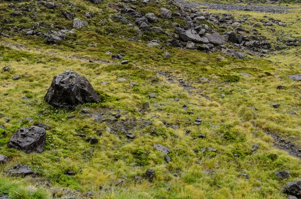 A fű és a fekete sziklák, jellemző, hogy a south island, Új-Zéland — Stock Fotó