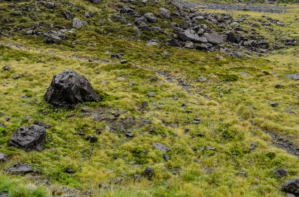 Gebied van gras en zwarte rotsen, typisch voor de Zuid-eiland van Nieuw-Zeeland Stockafbeelding