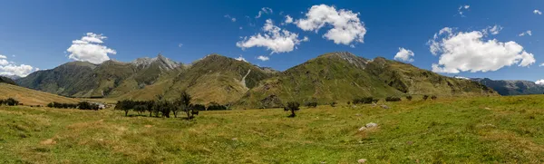 Meadow landscape panorama - Rob Roy Track, New Zealand — Stock Photo, Image