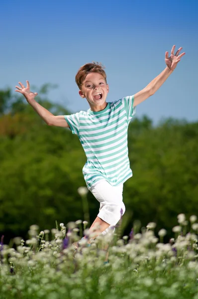 Glücklicher Junge auf der Wiese — Stockfoto