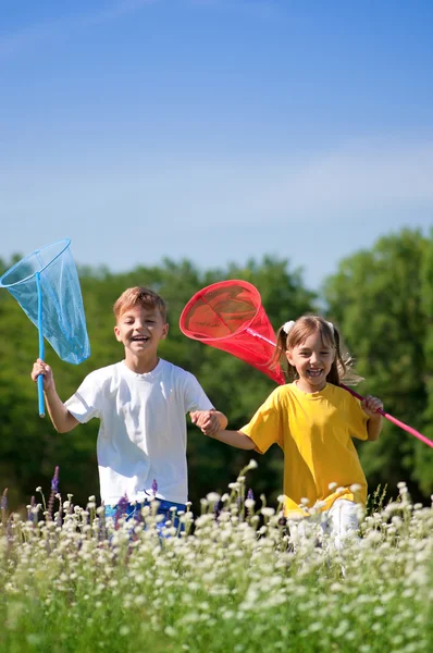 De gelukkige kinderen op weide — Stockfoto