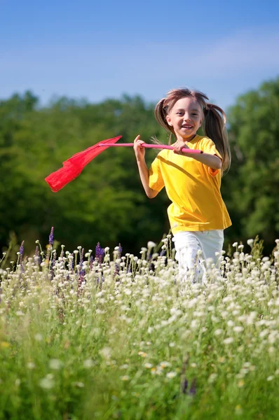 Menina feliz no prado — Fotografia de Stock