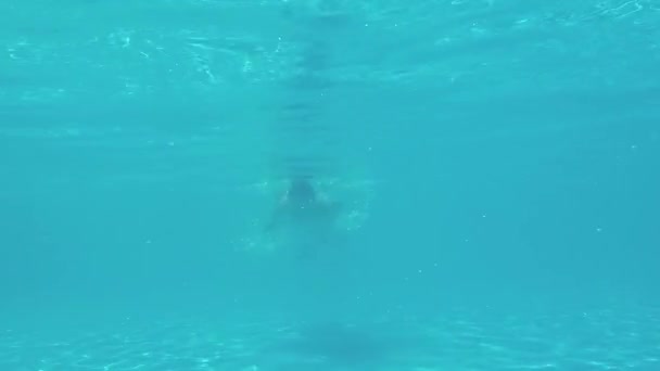 Boy in pool — Stock Video