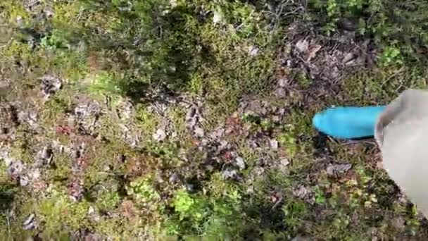 Vista superior Piernas de niña caminando por el bosque en botas de goma azul bosque en verano. Imágenes verticales — Vídeo de stock