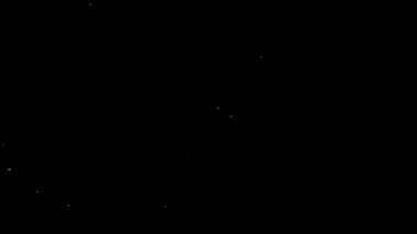 Geceleri kara gökyüzünde uçan kar taneleri. Soğuk kış, kar yağıyor. Dikey görüntüler. 