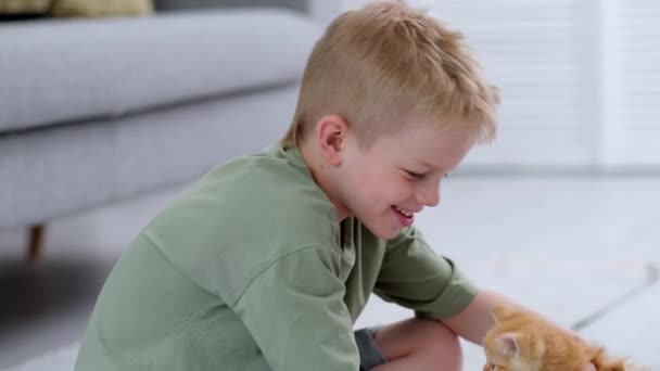 A kisfiú gyömbércica piros szalaggal játszik otthon a padlón. Gyermekek és állatok barátsága, barátok és macskák gondozása — Stock videók