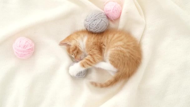 Ριγέ κόκκινο τζίντζερ σπιτικό γατάκι παίζει στο σπίτι. Χαριτωμένη γάτα με ροζ και γκρι μπάλα σουβλί από νήμα σε λευκό κρεβάτι — Αρχείο Βίντεο
