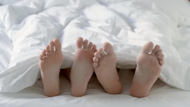 Vášnivý milující pár sex pod bílou přikrývkou v ložnici zblízka mužské a ženské nohy na posteli. — Stock video