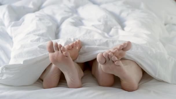 Страстная влюбленная пара занимающаяся сексом под белым одеялом в спальне Закрыть на кровати мужские и женские ноги. — стоковое видео