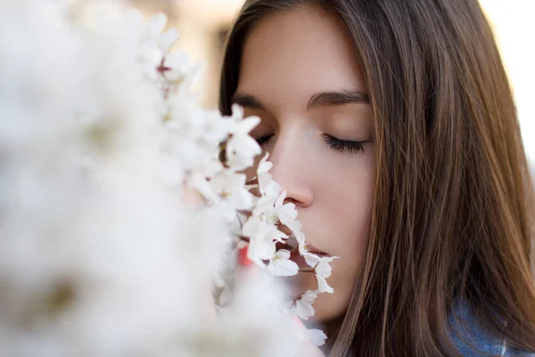 Young woman smelling cherry tree — Stock Photo, Image