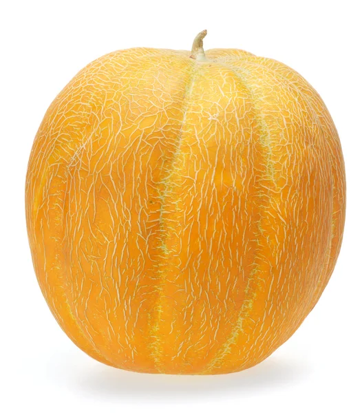 Melone isoliert — Stockfoto