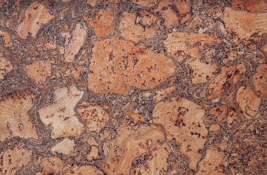 mantar doku arka plan