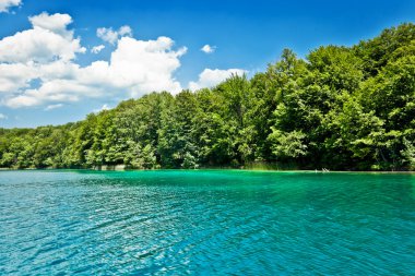 Hırvatistan 'daki Plitvice Gölleri Ulusal Parkı' nın güzel manzarası