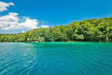 Hırvatistan 'daki Plitvice Gölleri Ulusal Parkı' nın güzel manzarası