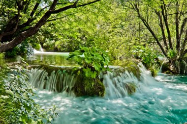 Hırvatistan 'daki Plitvice Gölleri Ulusal Parkı' nın güzel manzarası