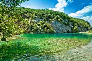 Hırvatistan 'daki Plitvice Gölleri Ulusal Parkı' nın güzel manzarası