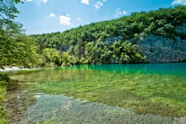 Hırvatistan 'daki Plitvice Gölleri Ulusal Parkı' nın güzel manzarası