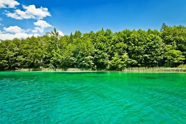 Красивый пейзаж в национальном парке Плитвицкие озера в Хорватии — стоковое фото