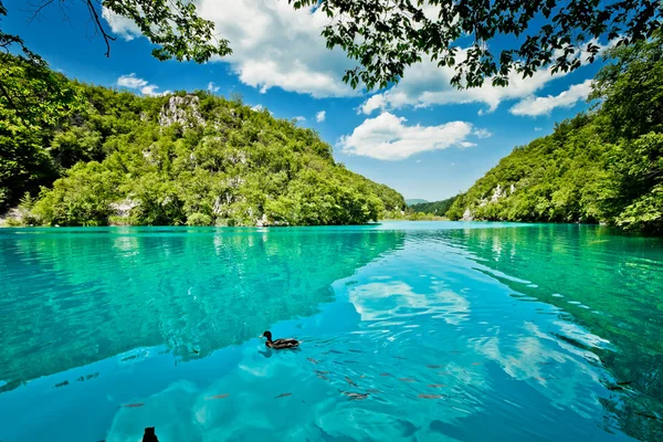 Beautiful landscape in the Plitvice Lakes National Park in Croatia — Stock Photo, Image