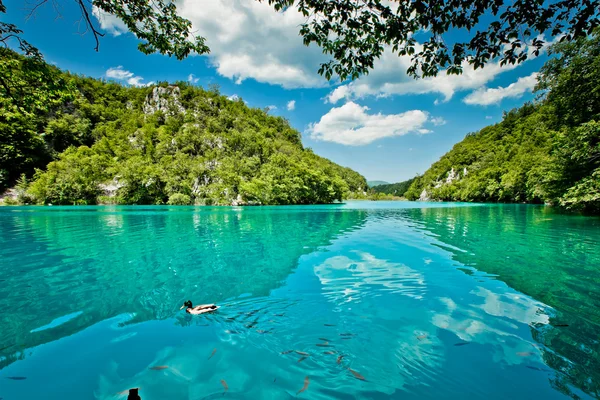 Beautiful landscape in the Plitvice Lakes National Park in Croatia — Stock Photo, Image