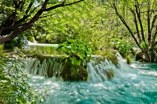 Hırvatistan 'daki Plitvice Gölleri Ulusal Parkı' nın güzel manzarası — Stok fotoğraf