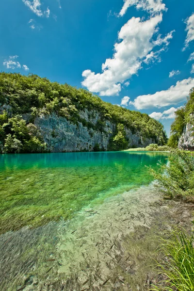 Vackert landskap i Plitvicesjöarnas nationalpark i Kroatien — Stockfoto