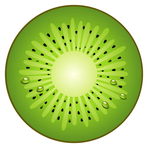 Kiwi di frutta a metà cerchio — Vettoriale Stock